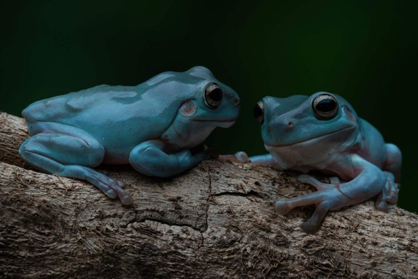 Techniques pour associer des tops en dentelle avec des pantalons en cuir pour un contraste féminin audacieux